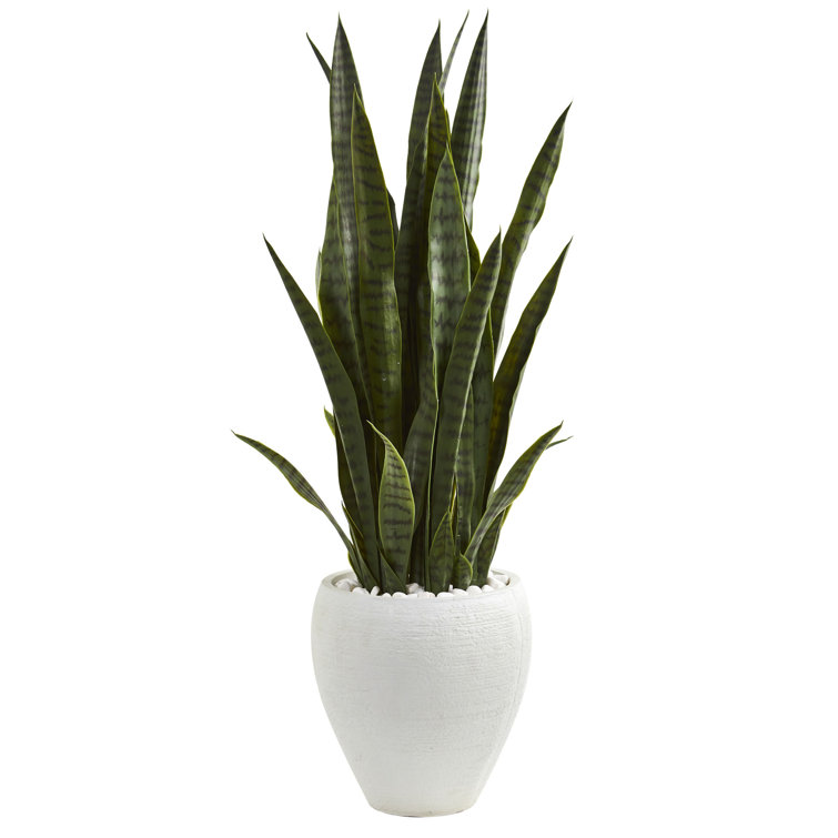Primrue 42'' Faux Snake Plant in Earthenware Planter & Reviews Wayfair